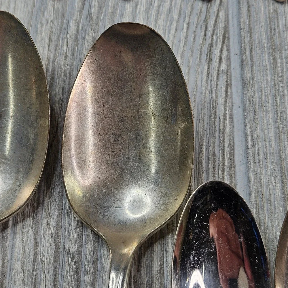 Wm. A. Rogers Oneida Flowertime Silver Overlaid Flatware Set 50 Pieces Vintage